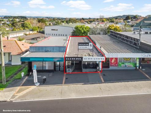 1017A Dominion Road, Mount Roskill
