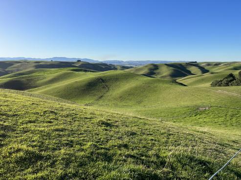 9 Mcphee Road, North Otago