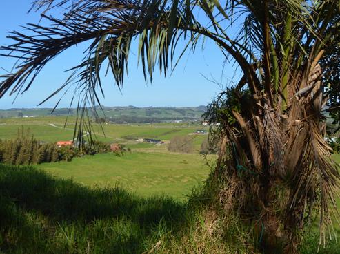 607A Baldrock Road, Kaiwaka