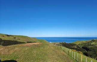 1597 Whaanga Road, Raglan