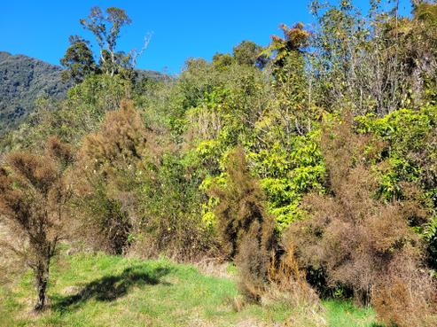 5 Charles Douglas Place, Franz Josef Glacier