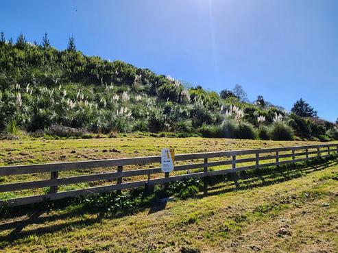 88 Riverside Road, Whataupoko