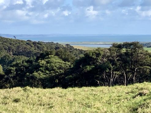 121 West Road, Kaukapakapa