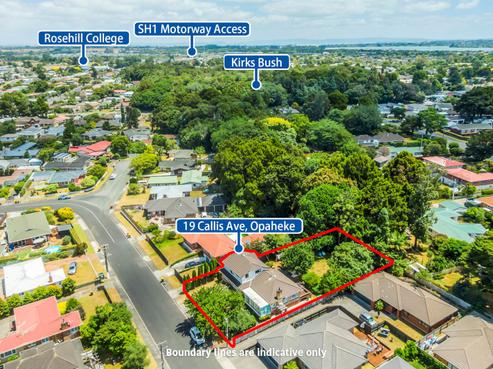 19 Callis Avenue, Opaheke