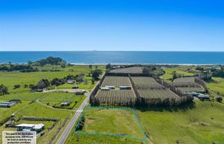 61 Tirohanga Road, Tirohanga