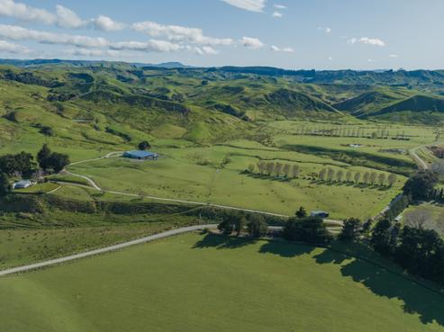173 Waikakahi Road, Pongaroa