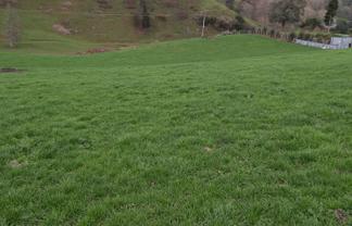 Lot 1, 627 Waitomo Valley Road, Otorohanga