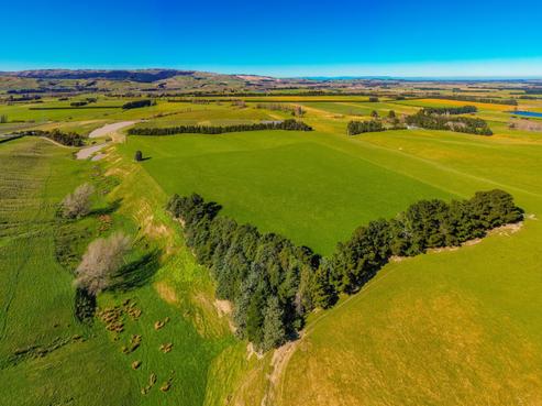 339 Mackenzies Road, Waipara