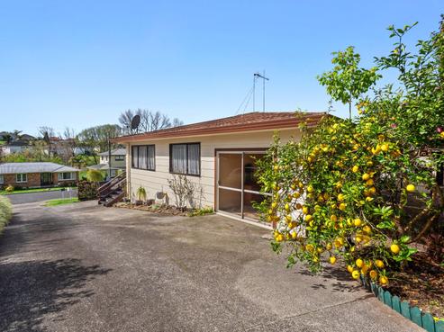 18A Esk Street, Parkvale
