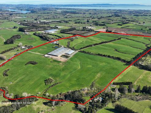 61 Cuff Road, Kingseat