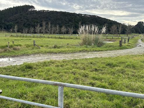 5258 State Highway 12, Ruawai