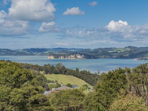 49 Tarapatiki Drive, Whitianga