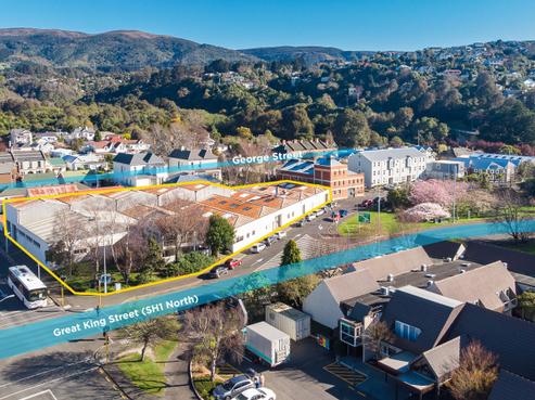 10 Willowbank, North Dunedin