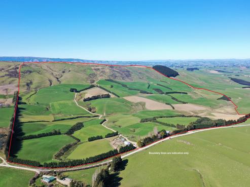 514 Leithen Road, West Otago Surrounds