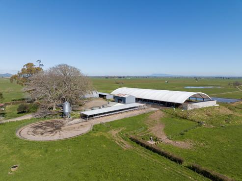 97 Reay and Watson Road, Morrinsville