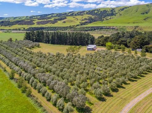 301C Te Muna Road, Martinborough