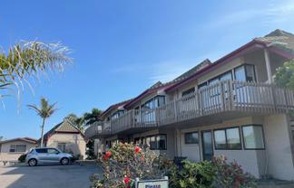 Coastal - Eastern Bay of Plenty - 12 Unit Motel
