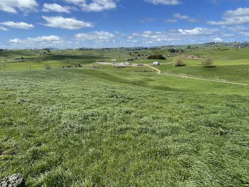 27 Mcrae Road, Otorohanga