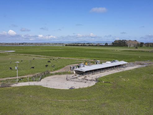 226 Wainui Road, Matatoki
