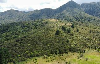  Pinehill Road, Omapere