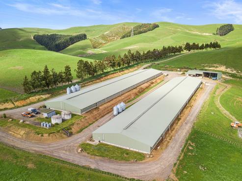 198 Harbottle Road, Morrinsville
