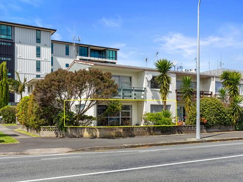 1/16 Park Street, Tauranga Central