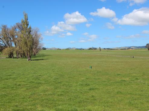 13 Farm Road, Waipukurau and Surrounds