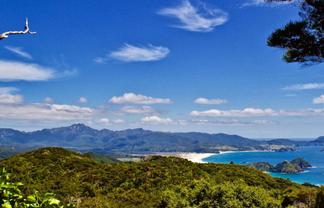 Station R/Lot 7 Medland Road, Great Barrier Island