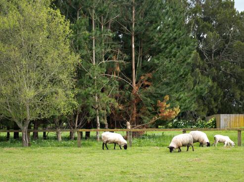 42A Junction Road, Paeroa