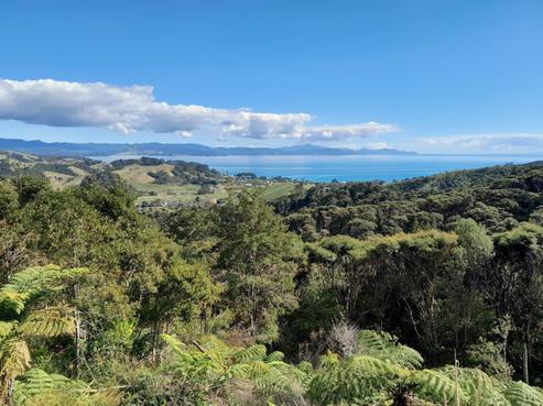 109 Kawhina Lane, Kuaotunu