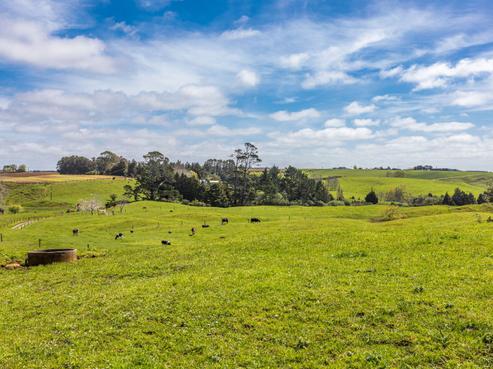 231 Hart Road, Pukekohe