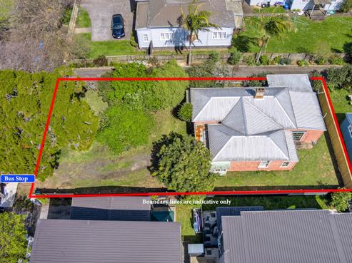 222 Princes Street East, Otahuhu