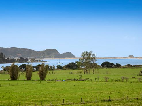 30 Tern Point, Mangawhai