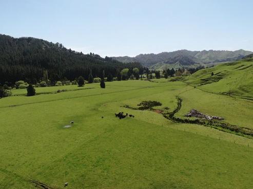 167 Whenuakura Road, Waimiha-Ongarue