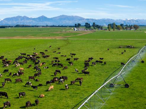 892 Orton Rangitata Mouth Road, Clandeboye