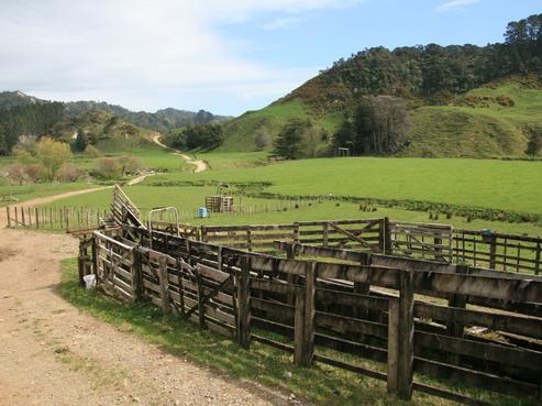 1415 Mokau Road, Uruti