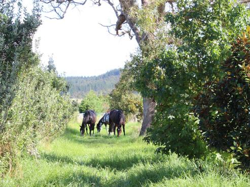 53 Takahiwai Road, Ruakaka