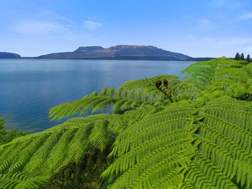 259 Spencer Road, Lake Tarawera