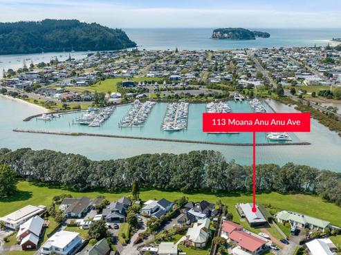 113 Moana Anu Anu Avenue, Whangamata