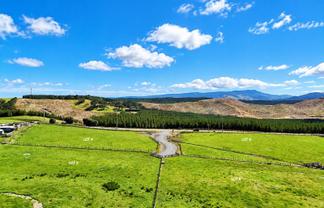 Lt 4,5,6,8 Babylon Coast Road, Dargaville