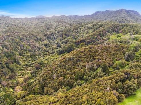 509A Old Maratoto Road, Hikutaia