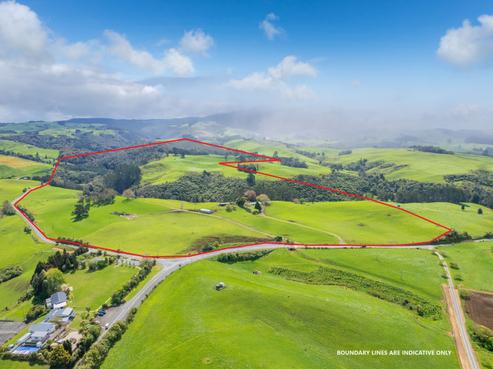 368 Ngutunui Road, Pirongia