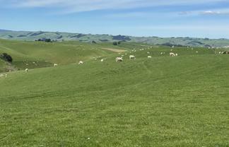 1129 Tuapeka West Road, Tuapeka West