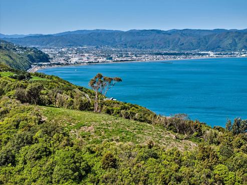 50 Dungarvan Road, Newlands