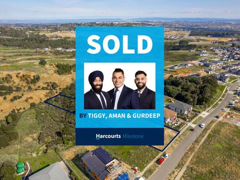 32 Michael Bosher Way, Flat Bush