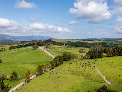 4318 State Highway 12, Kaikohe
