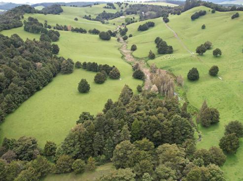 162 Adams Road, Awarua