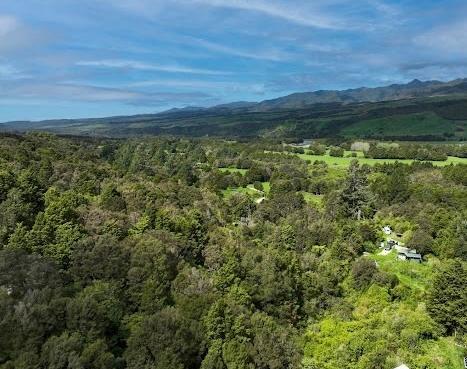 1292 Aorere Valley Road, Collingwood