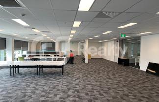 Level 1 Office | Manukau | 441sqm