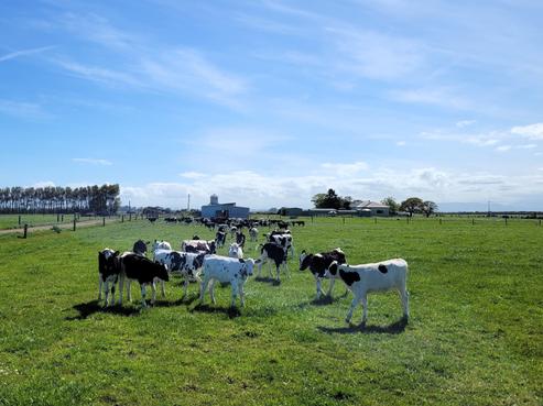 57 Toner Road, Temuka